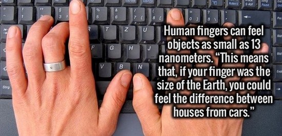 Lot Human fingers can feel objects as small as 13 nanometers. "'This means that, if your finger was the size of the Earth, you could feel the difference between houses from cars."