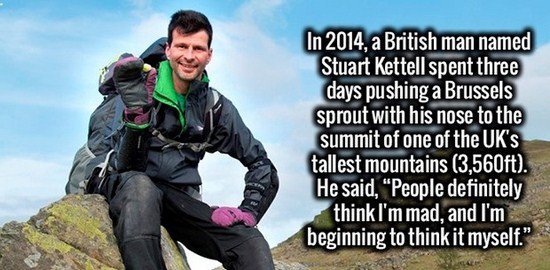 adventurer - In 2014, a British man named Stuart Kettell spent three days pushing a Brussels sprout with his nose to the summit of one of the Uk's tallest mountains 3,560ft. He said, "People definitely think I'm mad, and I'm beginning to think it myself."