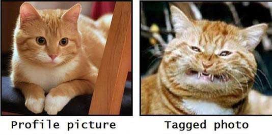Facebook Profiles vs Tagged Photos!