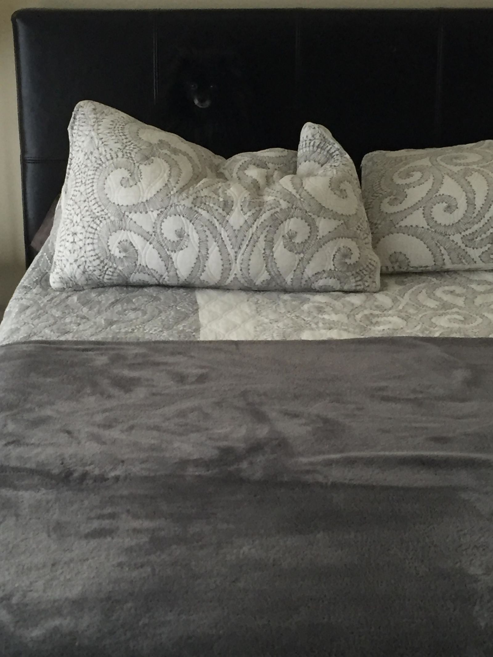 Can you spot the little master of disguise on this bed?