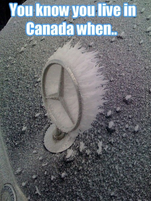 random pic memes living in canada - You know you live in Canada when.. MemeCenter.com