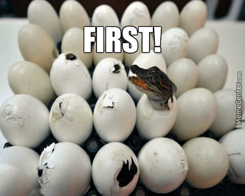 random pic eggs krokodil - First! MemeCenter.com