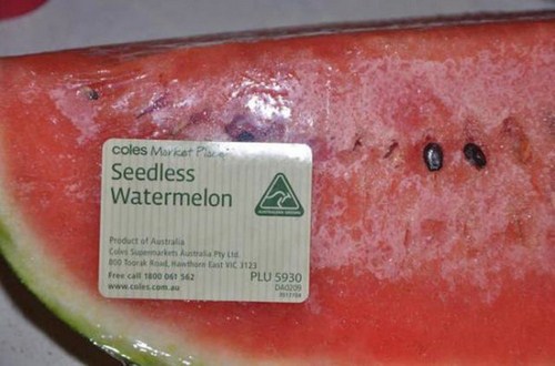 seedless watermelon meme - coles Market Place Seedless Watermelon Product of Austria for anthor at vi 1123 Free call 18000 562 Plu 5930 com a