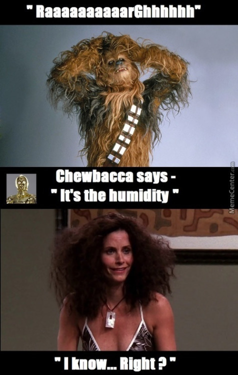 random pic frizz meme - _ "TeeeeeeeeeeHhhhhh Chewbacca says "It's the humidity" MemeCenter.com "I know... Right?"