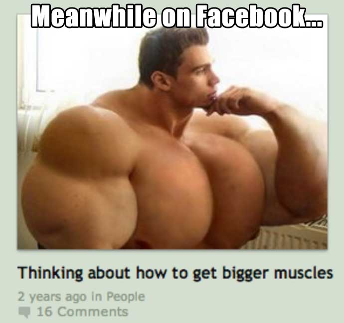 random pic muscle - Meanwhile on Facebook... Thinking about how to get bigger muscles 2 years ago in People 16