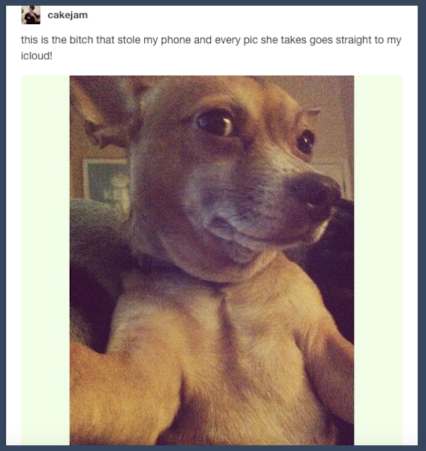 21 of Tumblr's greatest hits!