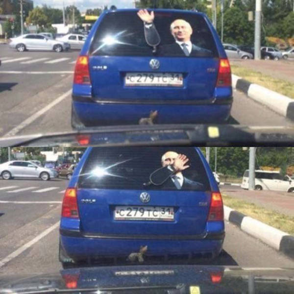 putin windshield wiper