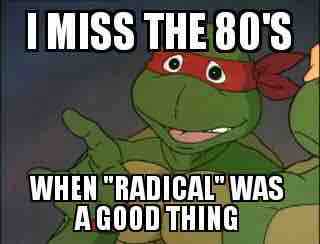 funny cartoon - I Miss The 80'S When "Radical"Was A Good Thing