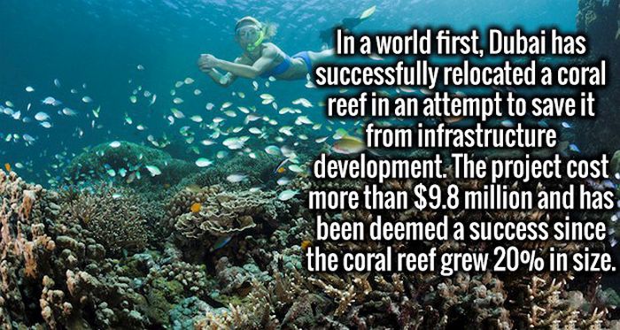 18 Interesting Fun Facts To Make Your Day!