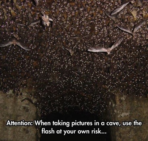 shitshitshit meme - Attention When taking pictures in a cave, use the flash at your own risk...