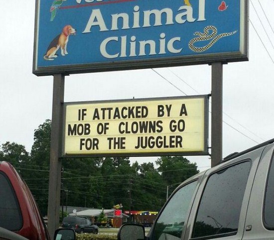 if attacked by a mob of clowns go for the juggler - Animal Clinic If Attacked By A Mob Of Clowns Go For The Juggler