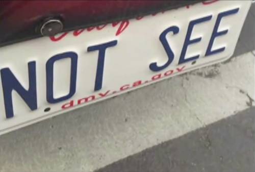 34 Clever But Filthy License Plates!