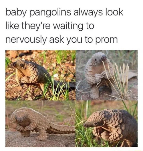 40 Fun Filled Pics For Your Enjoyment!