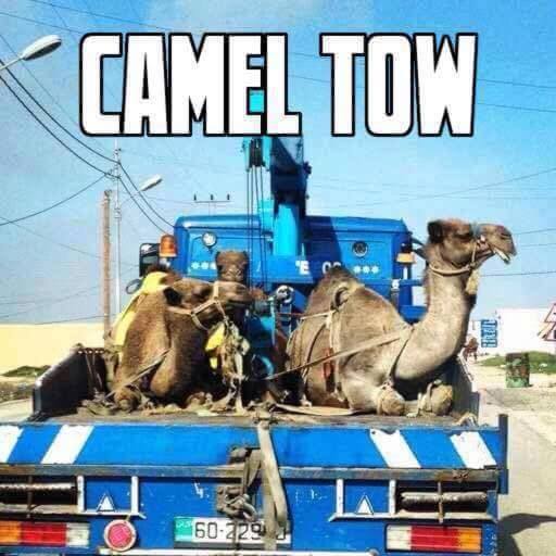 40 Fun Filled Pics For Your Enjoyment!