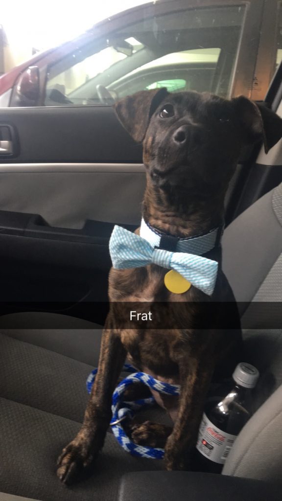 40 Fun Filled Pics For Your Enjoyment!