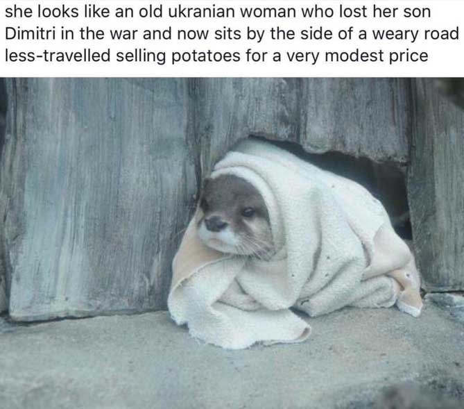 40 Fun Filled Pics For Your Enjoyment!