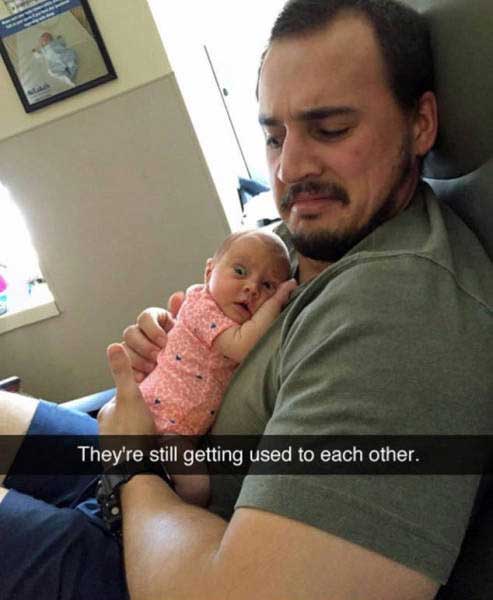 random funny single dad memes - They're still getting used to each other.