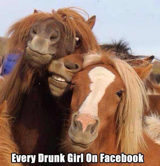 funny animal selfie - Every Drunk Girl On Facebook