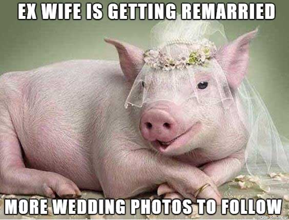 pig bride - Ex Wife Is Getting Remarried More Wedding Photos To