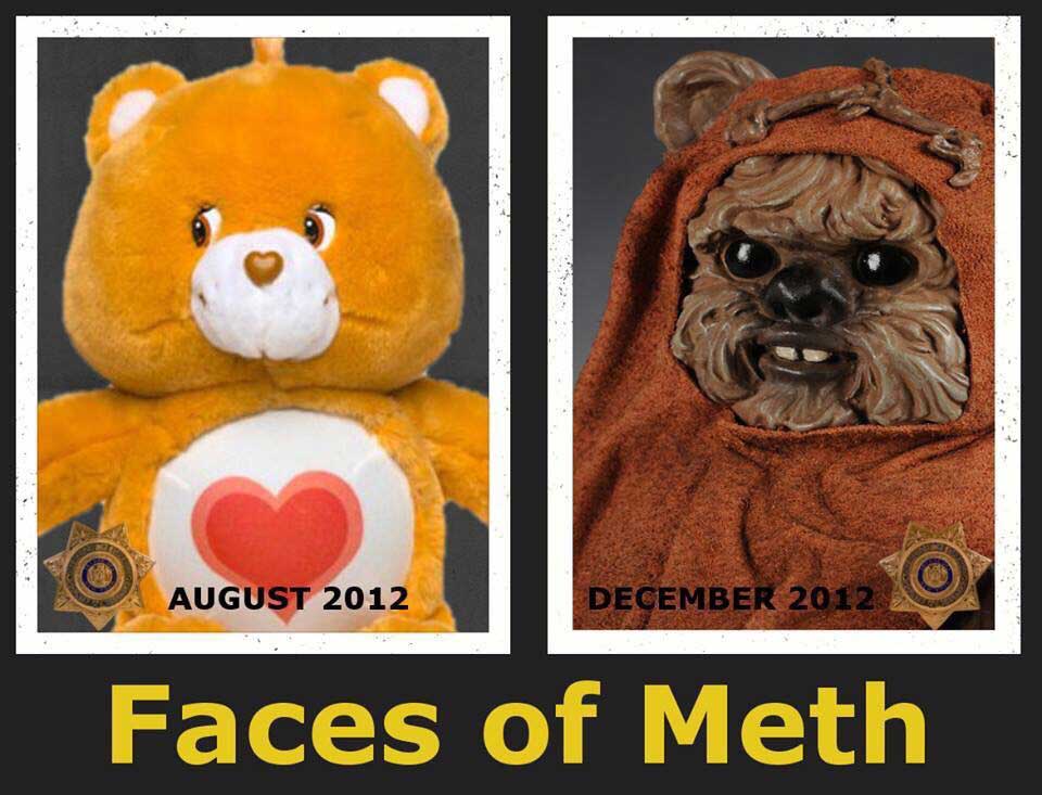 meth bear - Faces of Meth