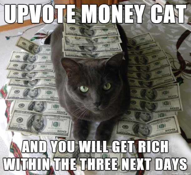 upvote money cat - Upvote Money Cat o 101 And You Will Get Rich Within The Three Next Days