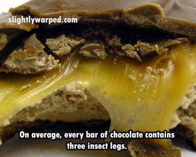 scared of insects meme - slightlywarped.com On average, every bar of chocolate contains three insect legs.