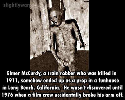 elmer mccurdy - slightlyware Elmer McCurdy, a train robber who was killed in 1911, somehow ended up as a prop in a funhouse in Long Beach, California. He wasn't discovered until 1976 when a film crew accidentally broke his arm off.