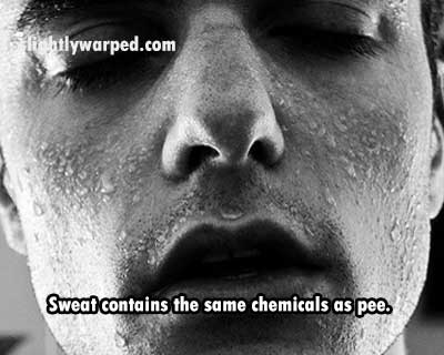 night sweats male - lihtlywarped.com Sweat contains the same chemicals as pee.