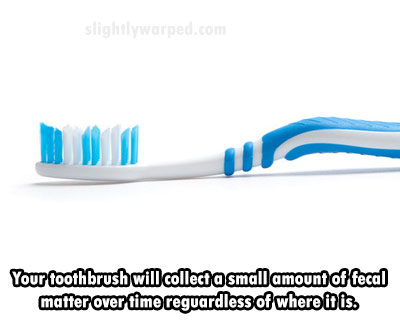 toothbrush - Your toothbrush will collect a small amount of fecal matter over time reguardless of where it is.