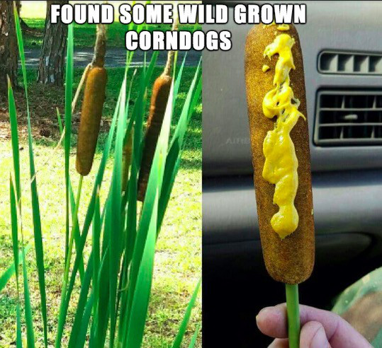 40 Funny Photos To Make Your Weekend Better!