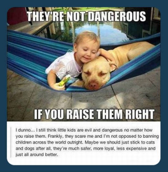 pitbull and kids funny - They'Re Not Dangerous If You Raise Them Right I dunno... I still think little kids are evil and dangerous no matter how you raise them. Frankly, they scare me and I'm not opposed to banning children across the world outright. Mayb