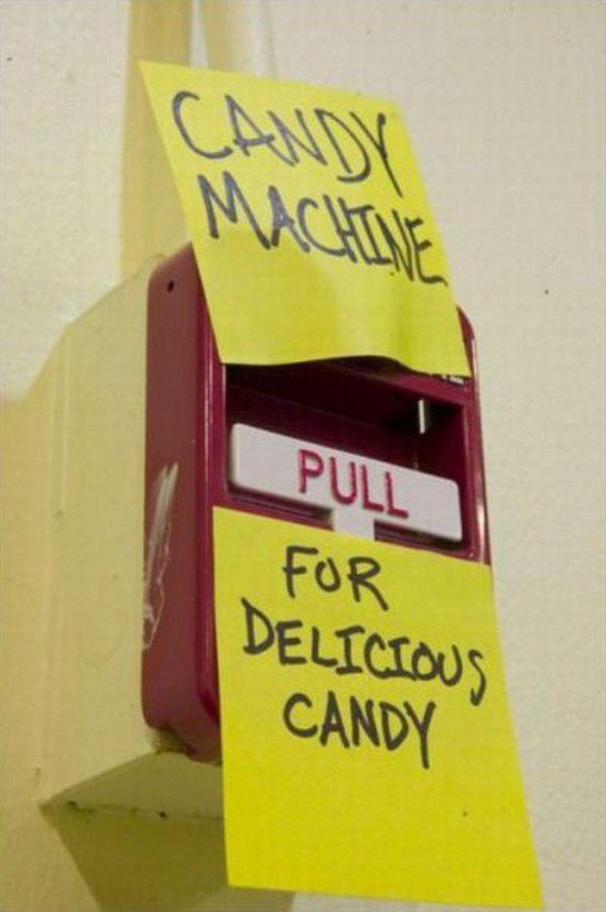 seems legit - Machane Pull For Delicious Candy
