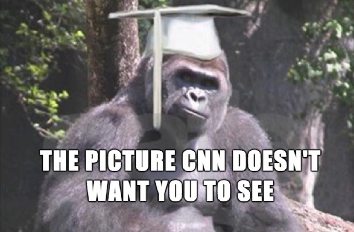 harambe funny - The Picture Cnn Doesn'T Want You To See