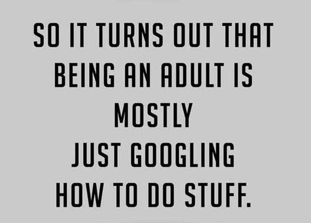 being an adult quote - So It Turns Out That Being An Adult Is Mostly Just Googling How To Do Stuff.