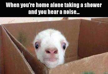 photo caption - When you're home alone taking a shower and you hear a noise...