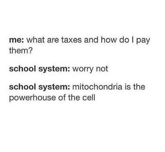 Patient - me what are taxes and how do I pay them? school system worry not school system mitochondria is the powerhouse of the cell