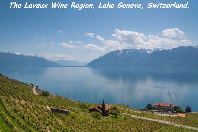 nature - The Lavaux Wine Region, Lake Geneva, Switzerland.