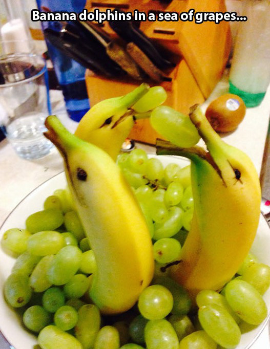 memes - banana dolphin grapes - Banana dolphins in a sea of grapes...
