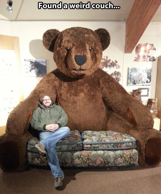 memes - big cuddle bear - Found a weird couch...