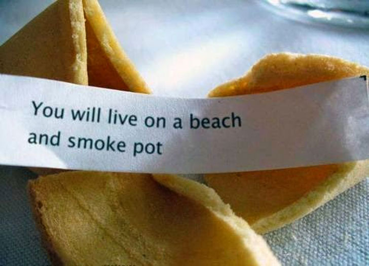 random pic funny fortune cookie - You will live on a beach and smoke pot