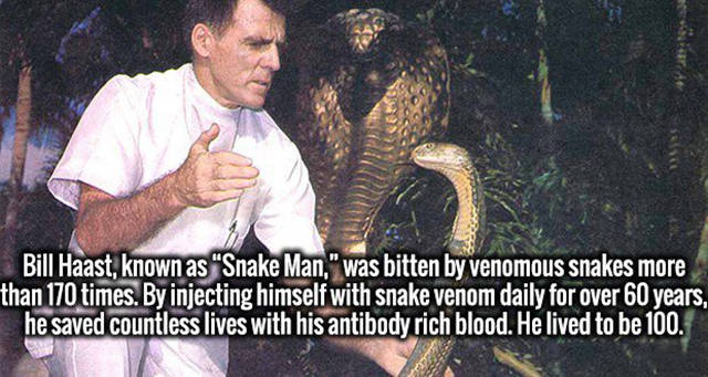 bill haast - Bill Haast, known as "Snake Man," was bitten by venomous snakes more than 170 times. By injecting himself with snake venom daily for over 60 years. he saved countless lives with his antibody rich blood. He lived to be 100.