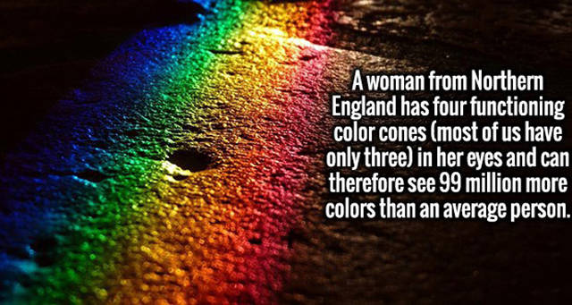Aspect ratio - A woman from Northern England has four functioning color cones most of us have only three in her eyes and can therefore see 99 million more colors than an average person.