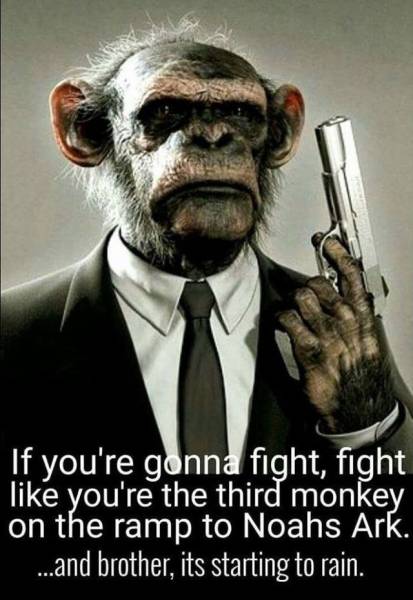 monkey with a gun - If you're gonna fight, fight you're the third monkey on the ramp to Noahs Ark. ...and brother, its starting to rain.