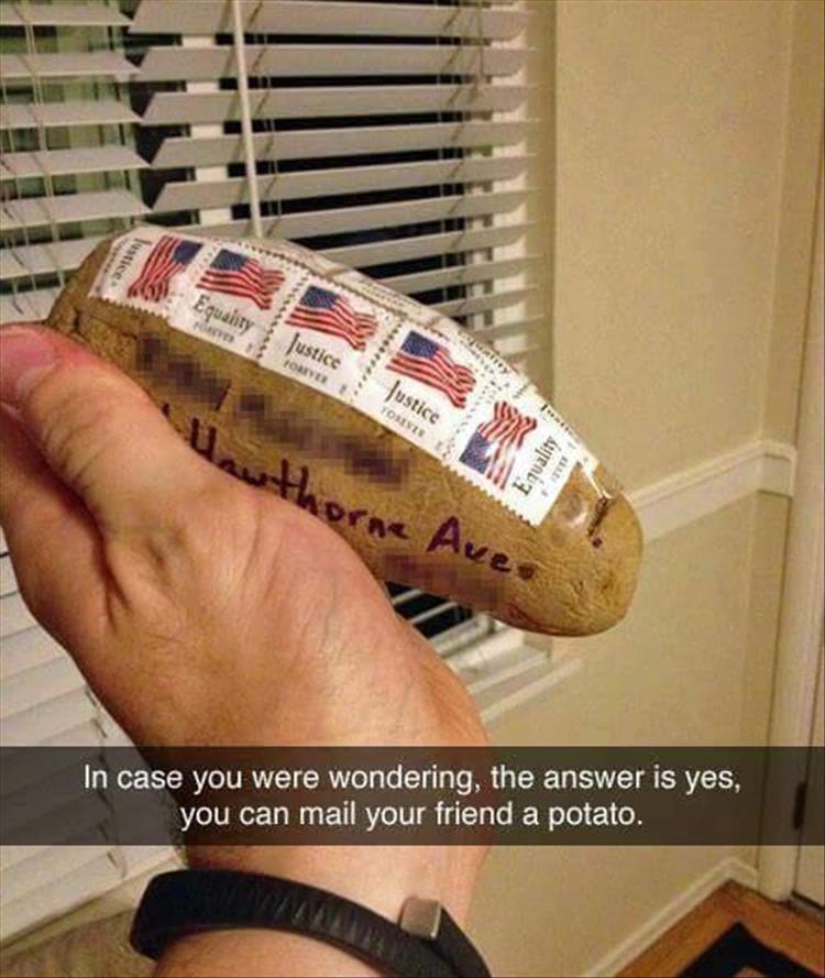 can you mail a potato - Justice Justice Yorse E quality orne Ave In case you were wondering, the answer is yes, you can mail your friend a potato.