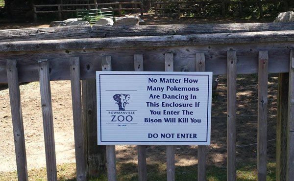 bowmanville memes - No Matter How Many Pokemons Are Dancing In This Enclosure If You Enter The Bison Will Kill You Manville Zoo Do Not Enter