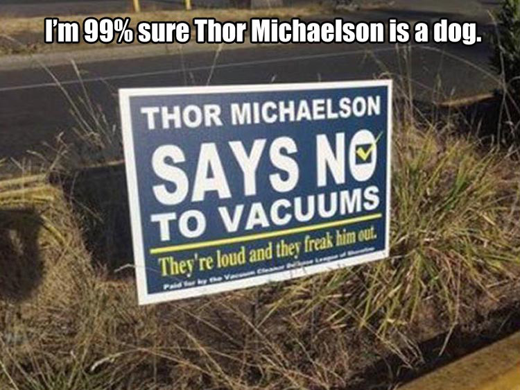 grass - I'm 99% sure Thor Michaelson is a dog. Thor Michaelson Says No To Vacuums They're loud and they freak him out.