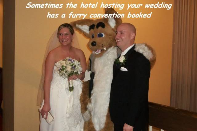 bride - Sometimes the hotel hosting your wedding has a furry convention booked
