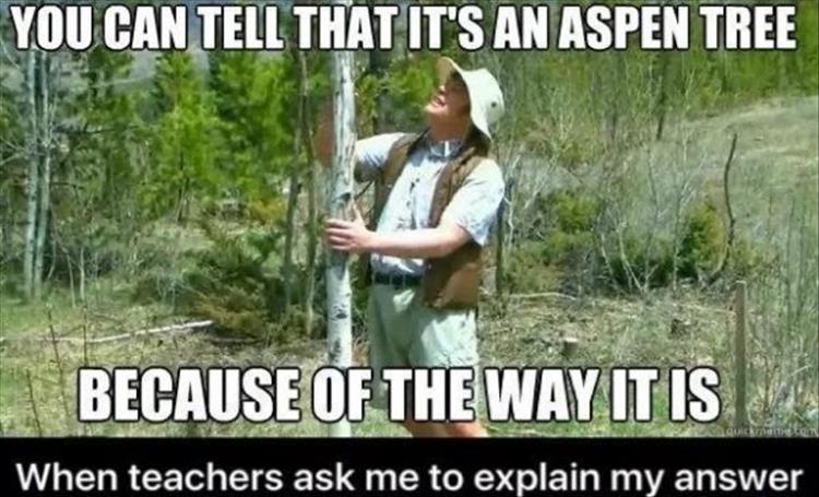 you can tell by the way - You Can Tell That It'S An Aspen Tree E Because Of The Way It Is When teachers ask me to explain my answer