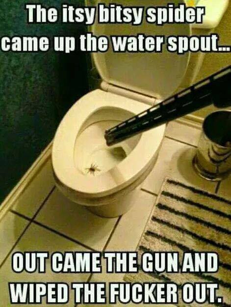 itsy bitsy spider meme - The itsy bitsy spider came up the water spout... Out Came The Gun And Wiped The Fucker Out.