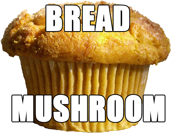 funny names for food - Bread Mushroom